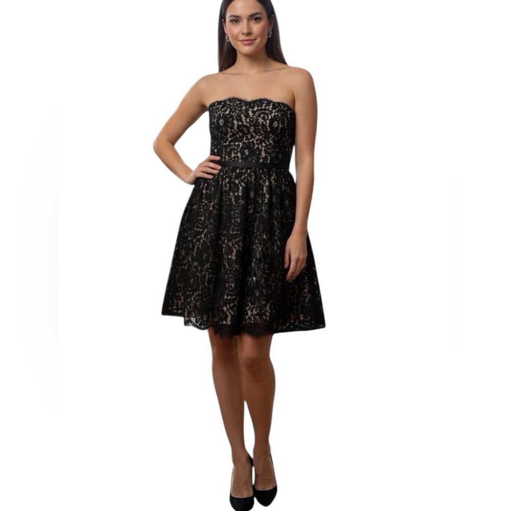 Robert Rodriguez Black Mini Dress Lace Strapless A-Line Cocktail Size 12